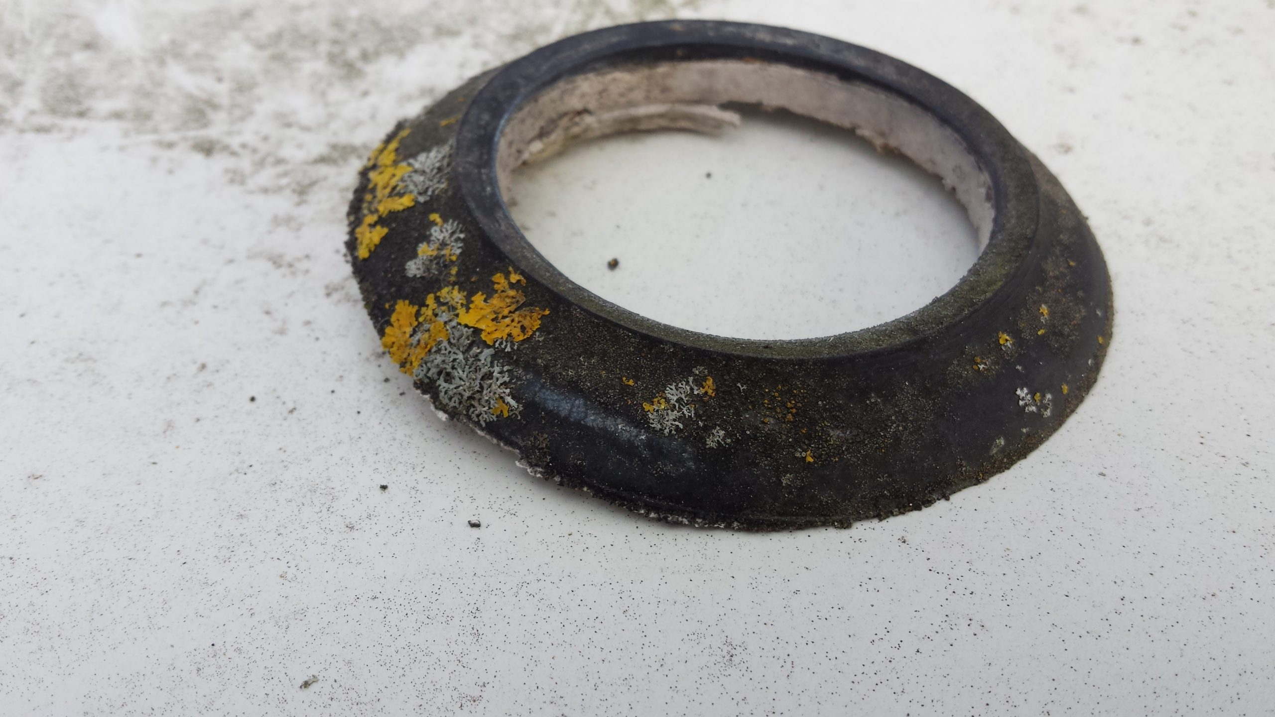 Old brittle Thetford flu vent seal, removed.jpg